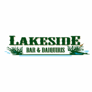 Demo Logo